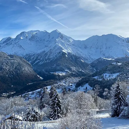 Anatole - Vue Mont Blanc Exceptionnelle 木屋 圣热尔韦莱班
